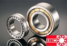 IBC圓柱滾子軸承 Cylindrical Roller Bearings